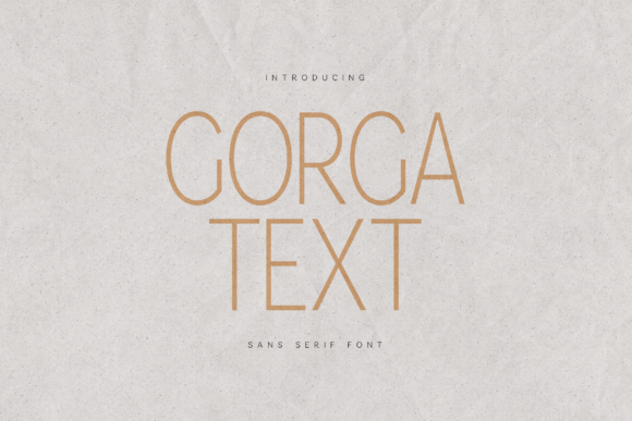 Gorga Text: A Modern Sans Serif for Digital Design