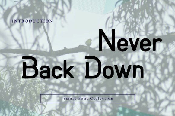 Never Back Down: A Bold Sans Serif Font for Campaigns